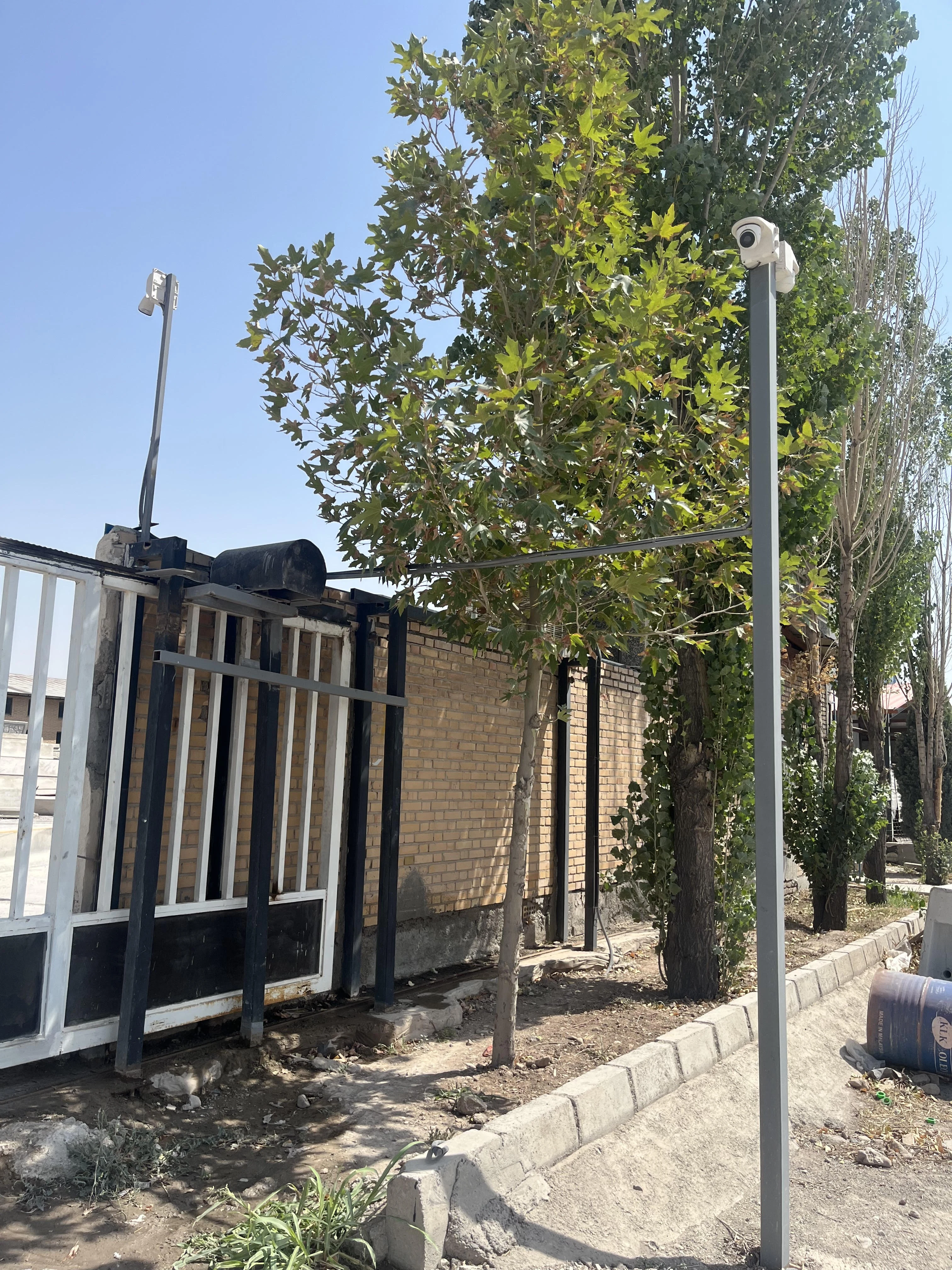 ویرا فراز نمایان ساتراپ - تصویر 2