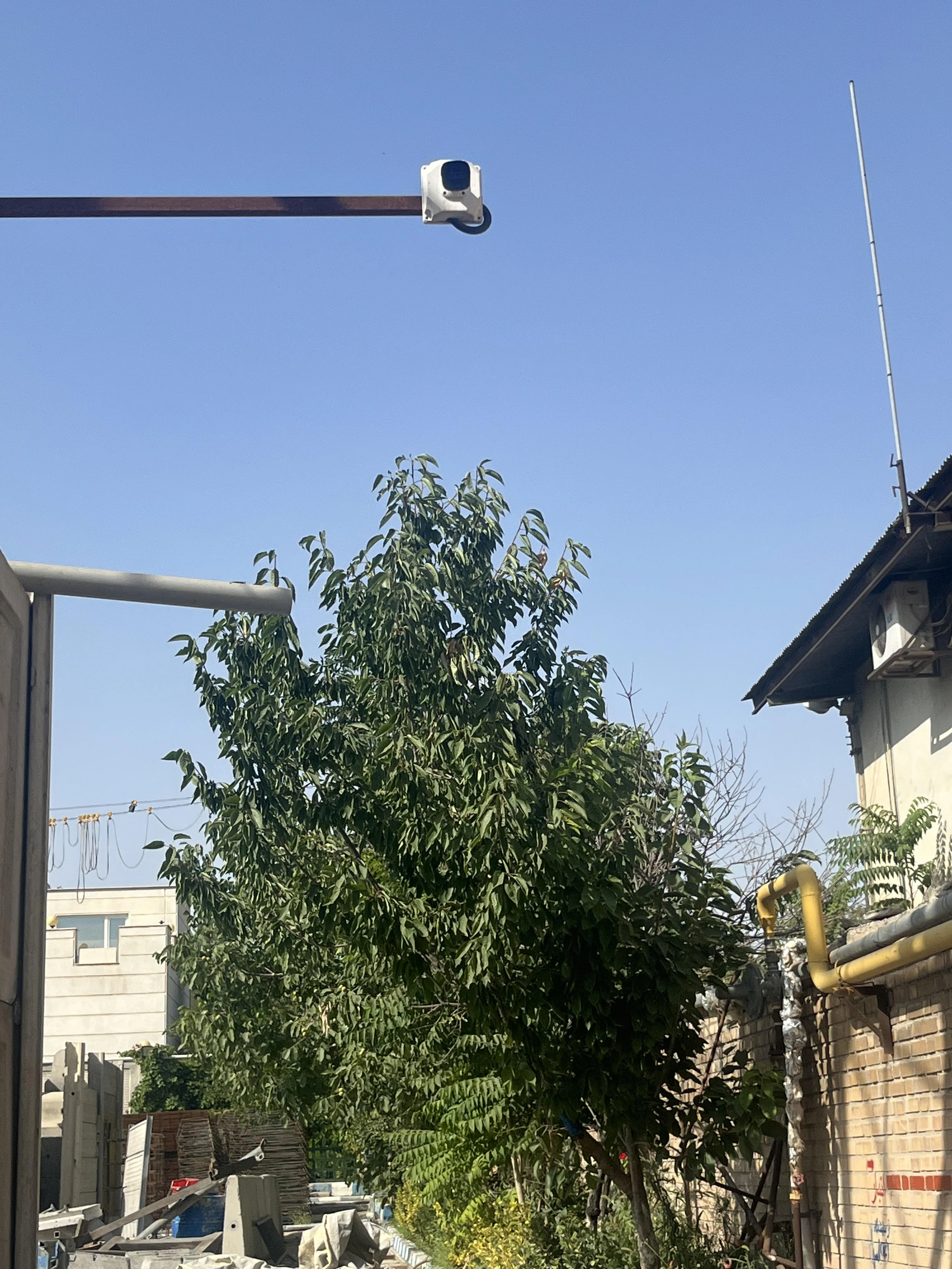ویرا فراز نمایان ساتراپ - تصویر 4