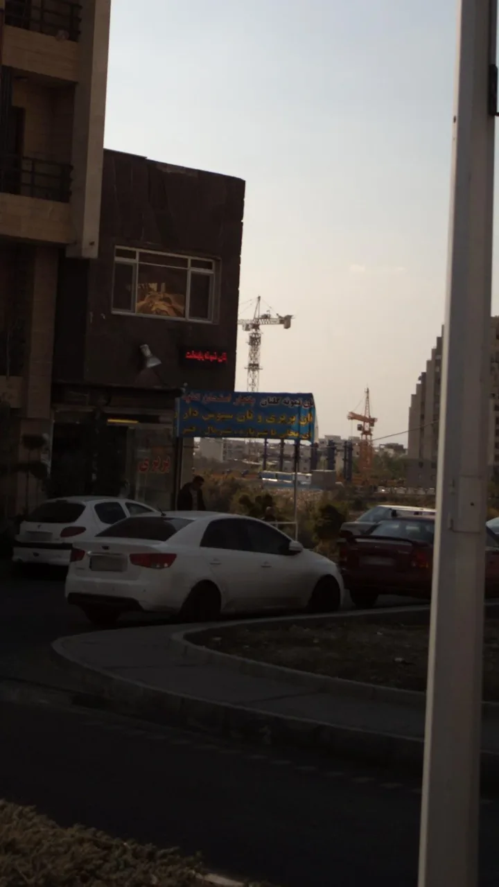 نان بربری - تصویر 2