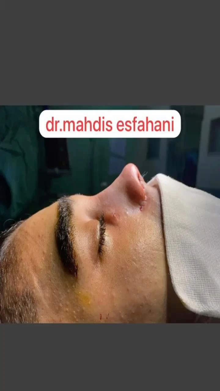 دکتر مهدیس اصفهانی - تصویر 3