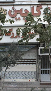 نان فانتزی گلچین