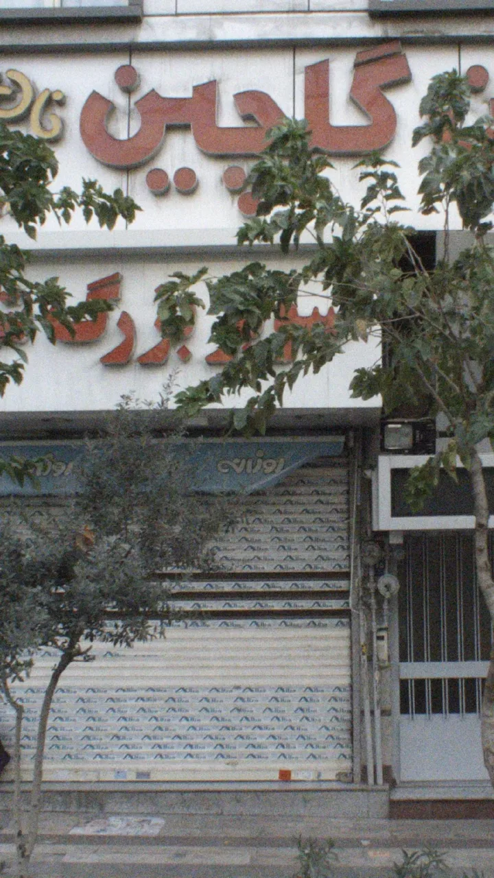 نان فانتزی گلچین
