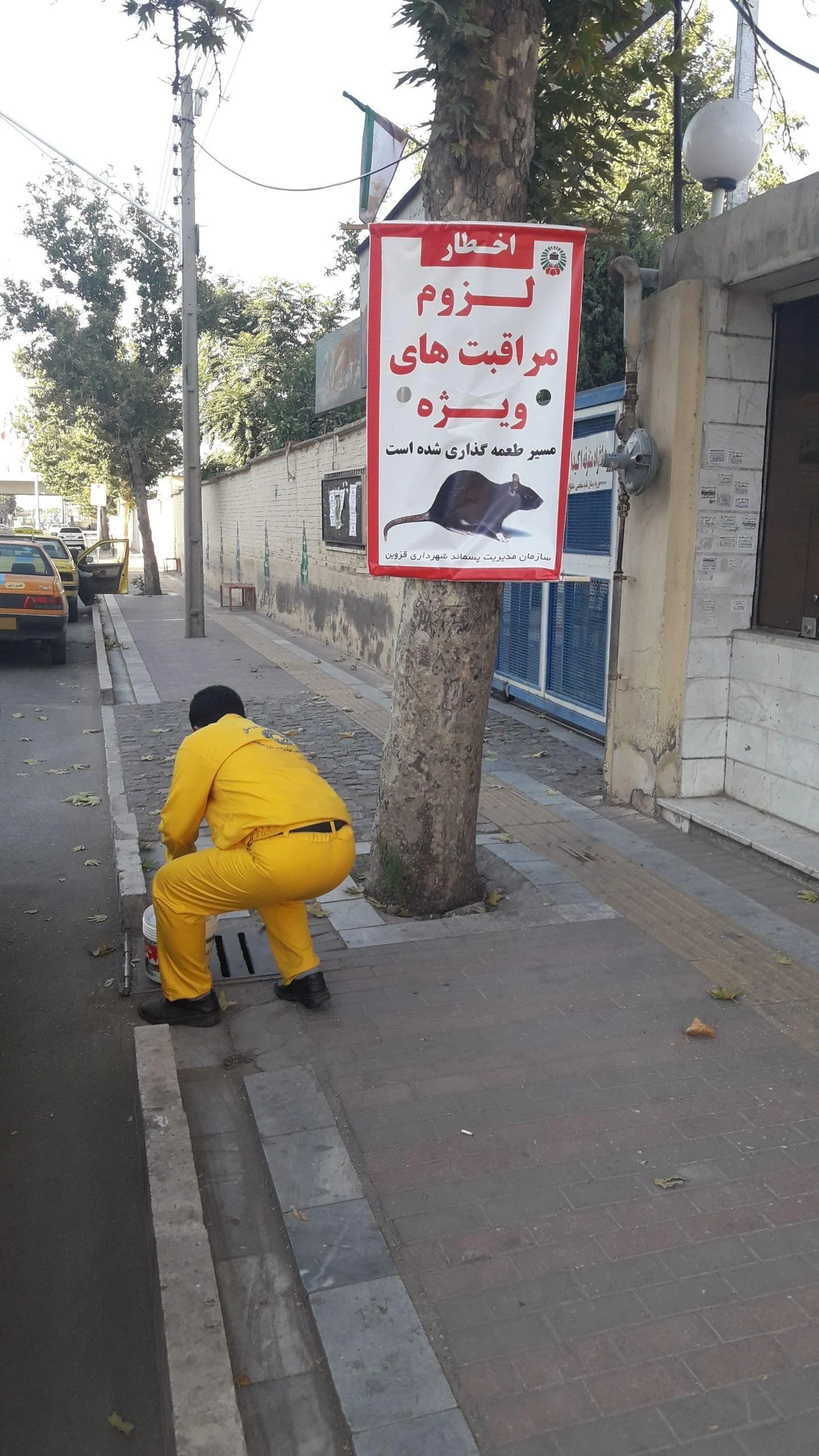 شرکت مهندسین طراح و مجری رایزن