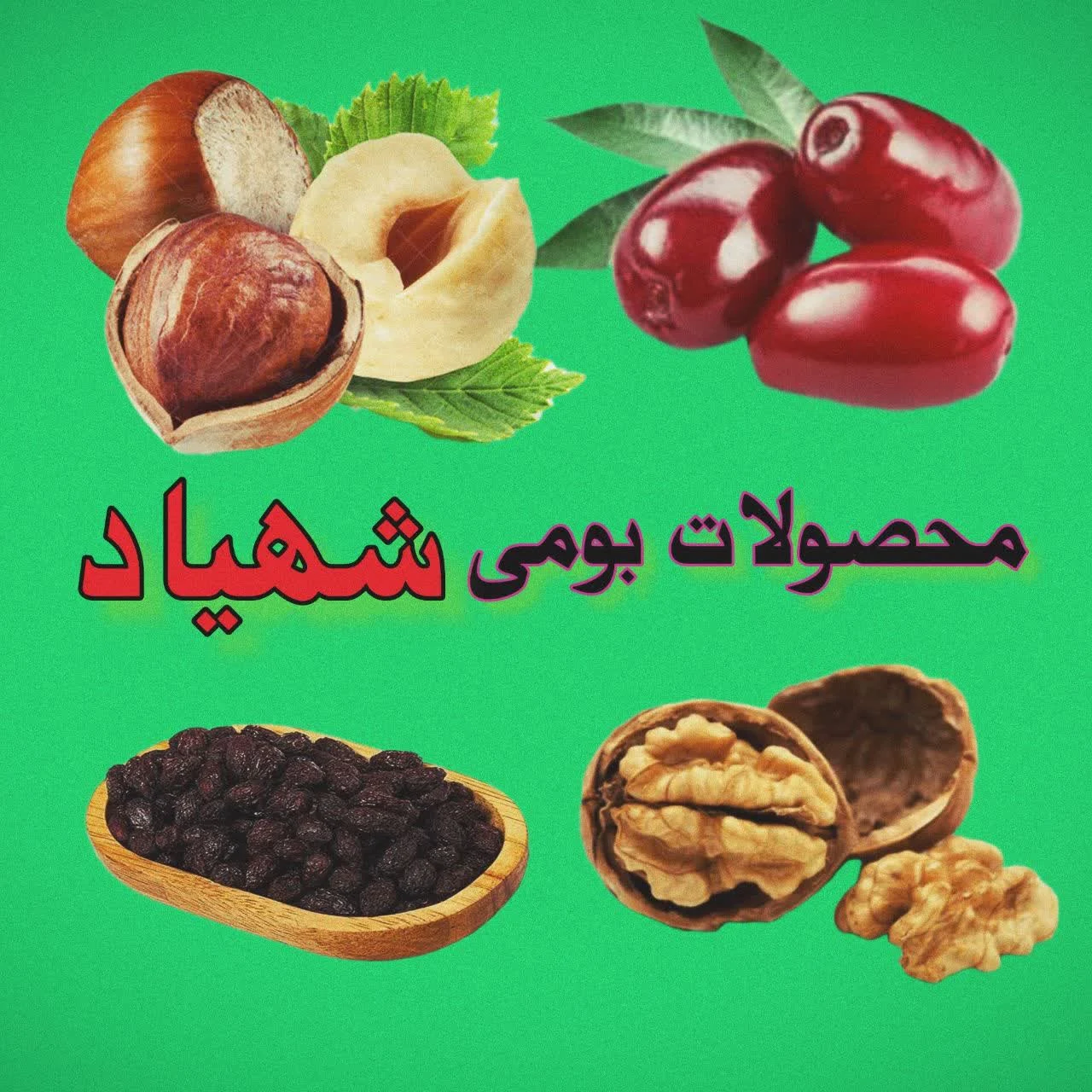 محصولات بومی گروه شهیاد