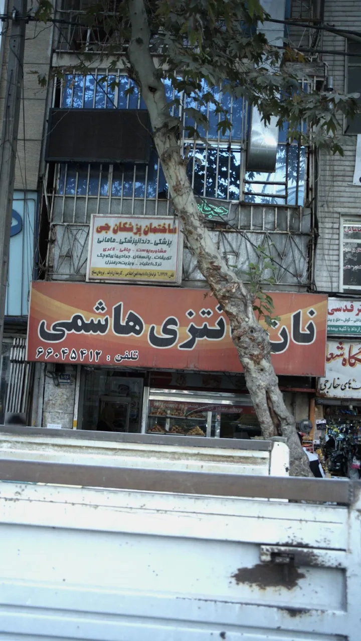 نان فانتزی هاشمی - تصویر 2