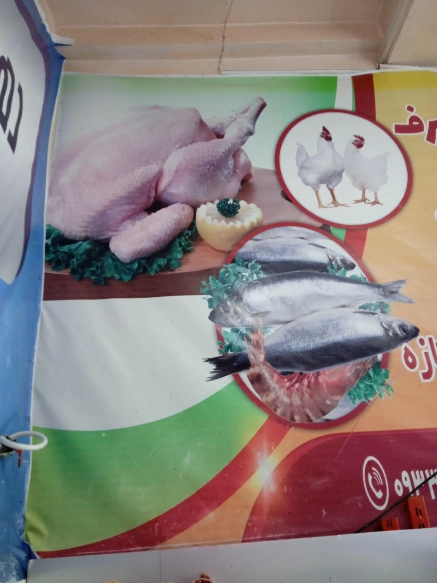 مرغ فروشی سجاد مددی