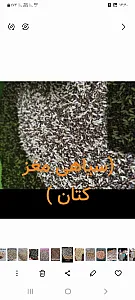 خرید وفروش تخم کتان وعدس درجه یک