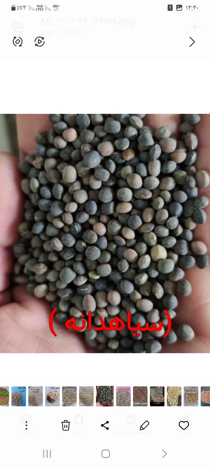 خرید وفروش تخم کتان وعدس درجه یک - تصویر 2