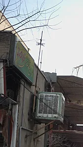 نان فانتزی توحید