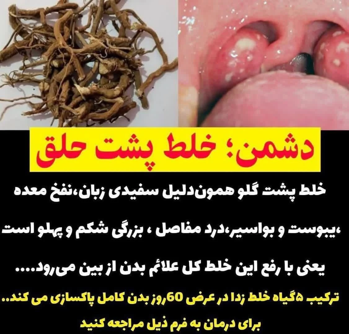 طب سنتی محمدی - تصویر 2