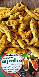 پخش عطاری مطهری