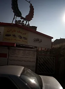 نان تافتون