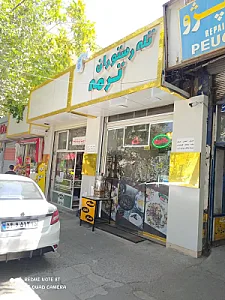 غذای خانگی ترمه