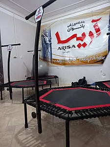 باشگاه ورزشی آریسا