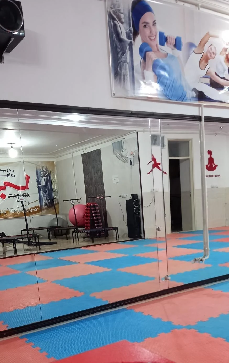 باشگاه ورزشی آریسا - تصویر 3