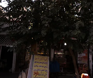 نان فانتزی برادران