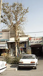 نان لواش