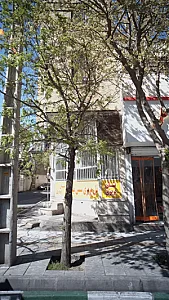 نان بربری سنتی