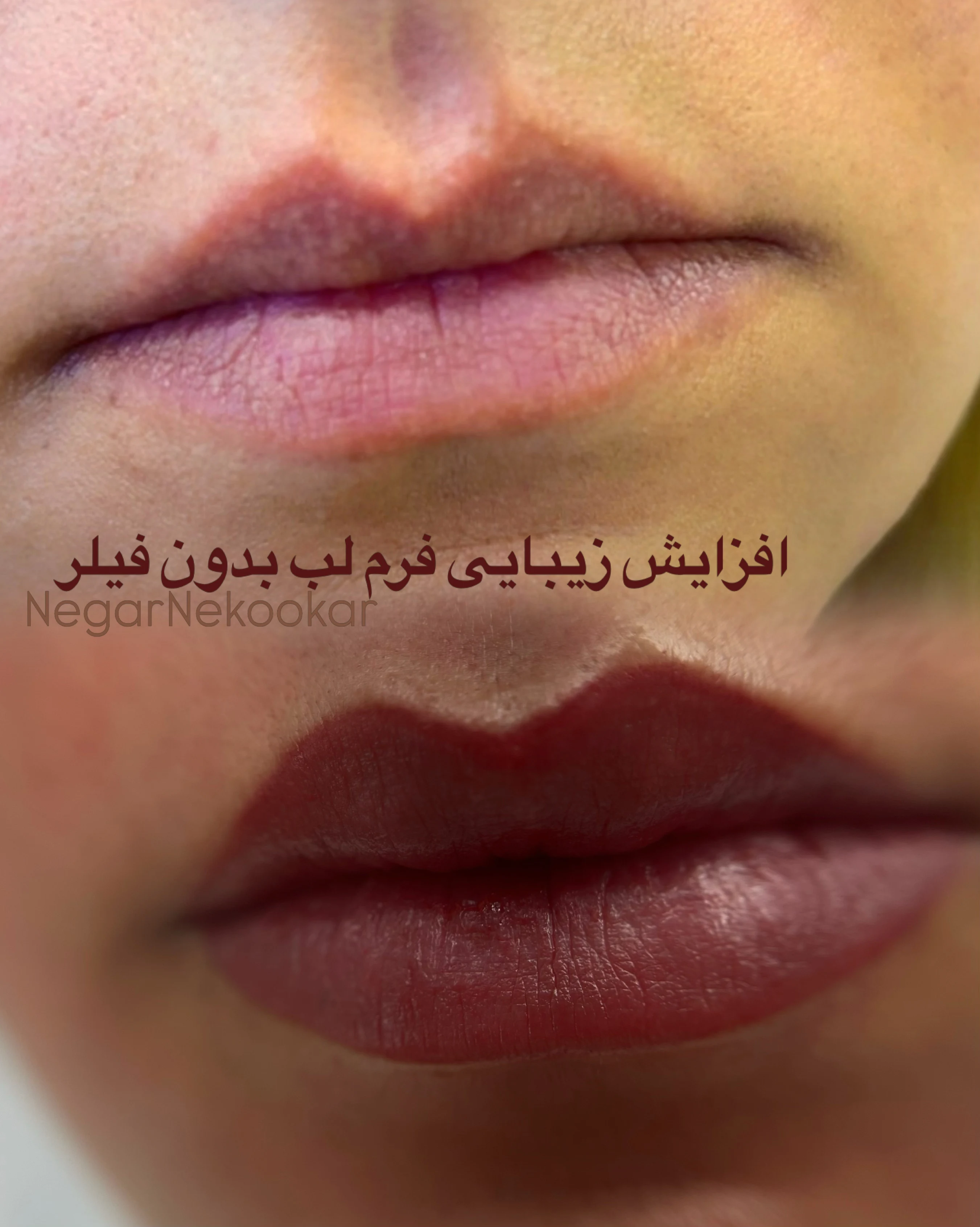 آرایش دائم و اصلاح رنگ (بانوان و آقایان) رزگلد - نگار نکوکار