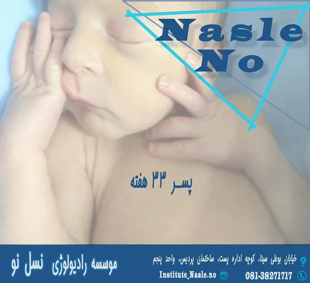دکتر محمد بحیرایی - تصویر 3