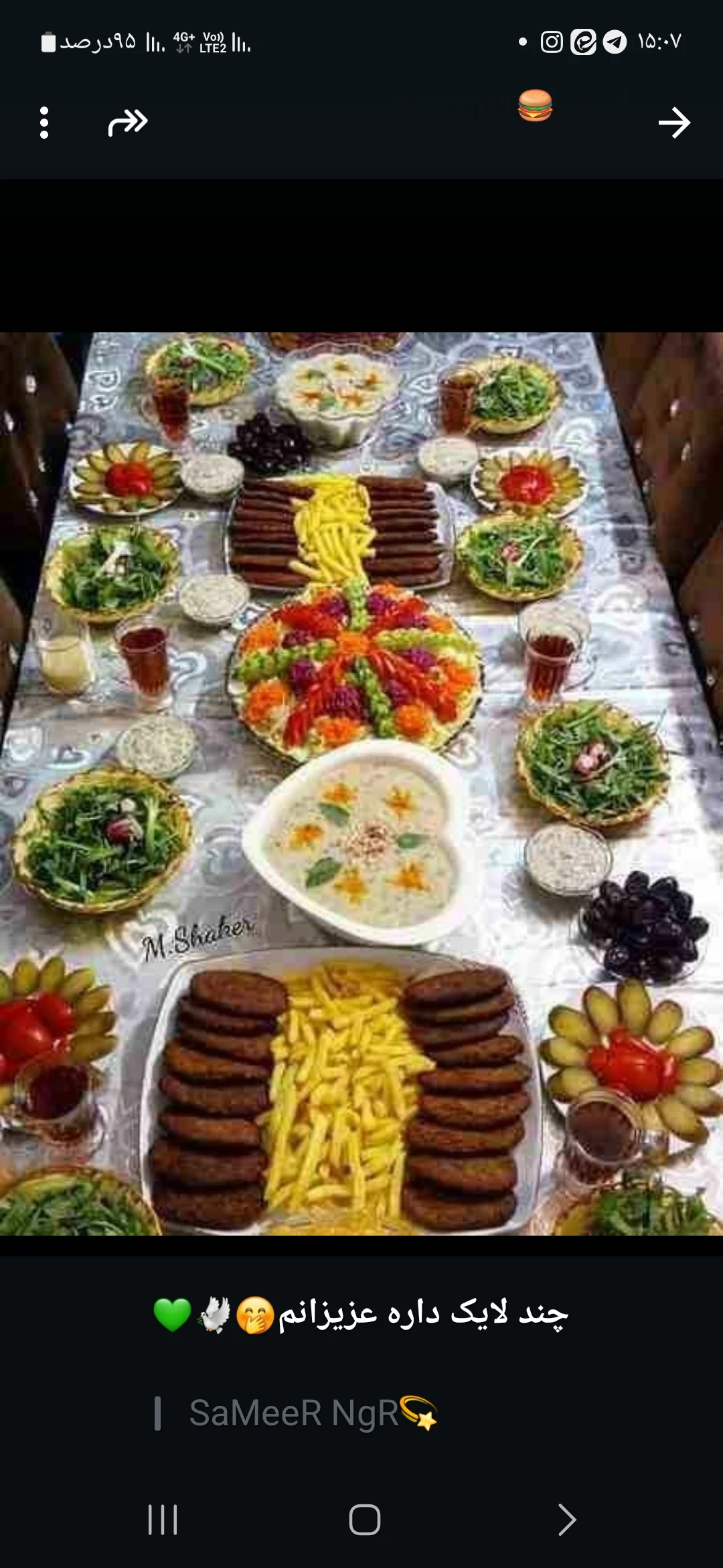 تهییه غذای عسل بانو - کترینگ و تهیه غذا در همدان - تصویر 4