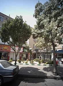 نان و شیرینی قدس