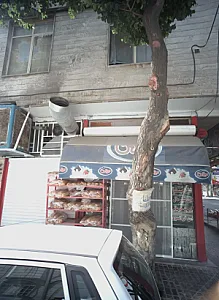 فروشگاه نان باگت و کلوچه