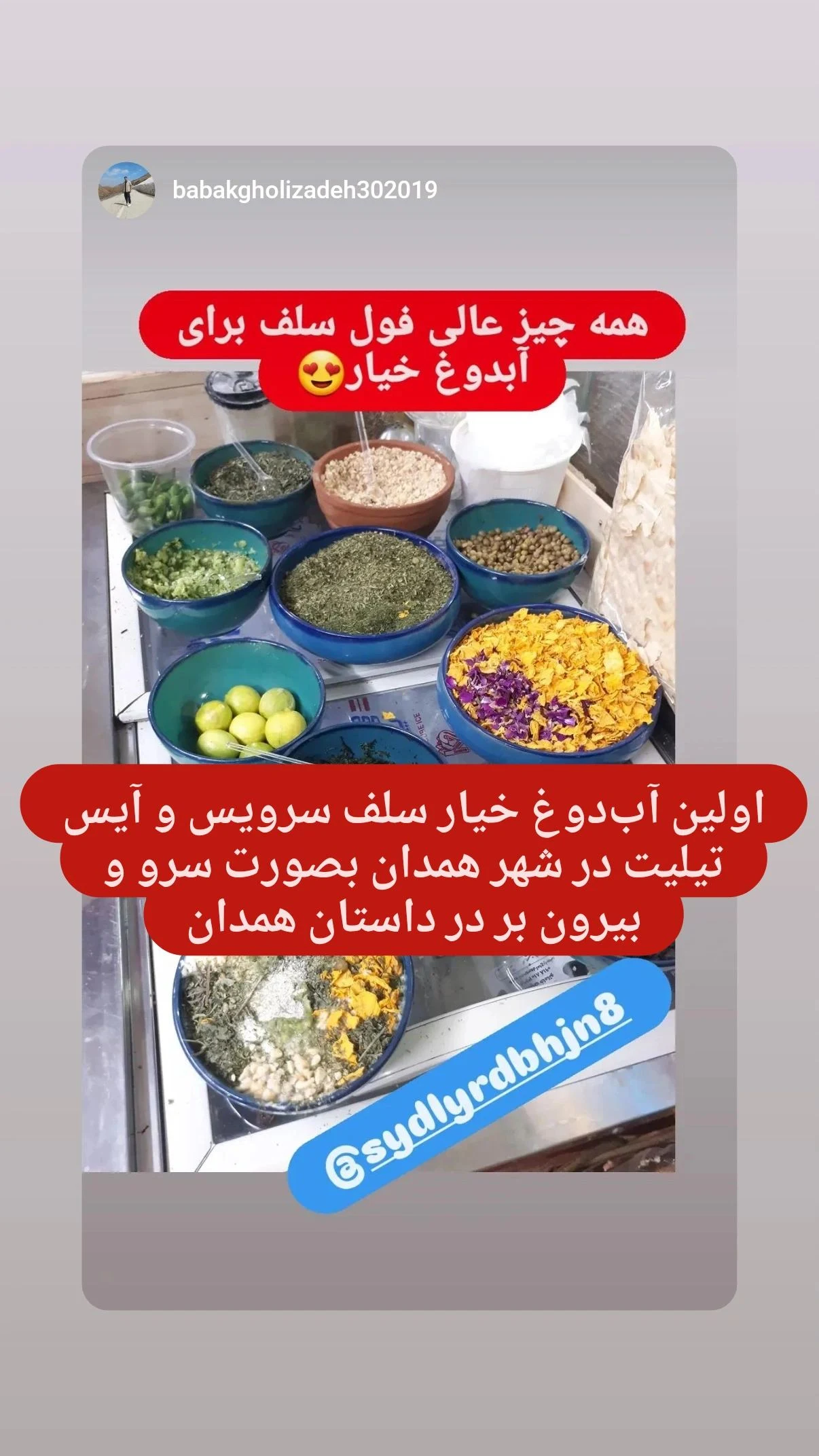 لبنیات سنتی خاماتو و آب‌دوغ خیار سلف - تصویر 2