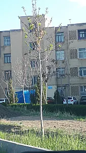 مجتمع مسکونی عترت