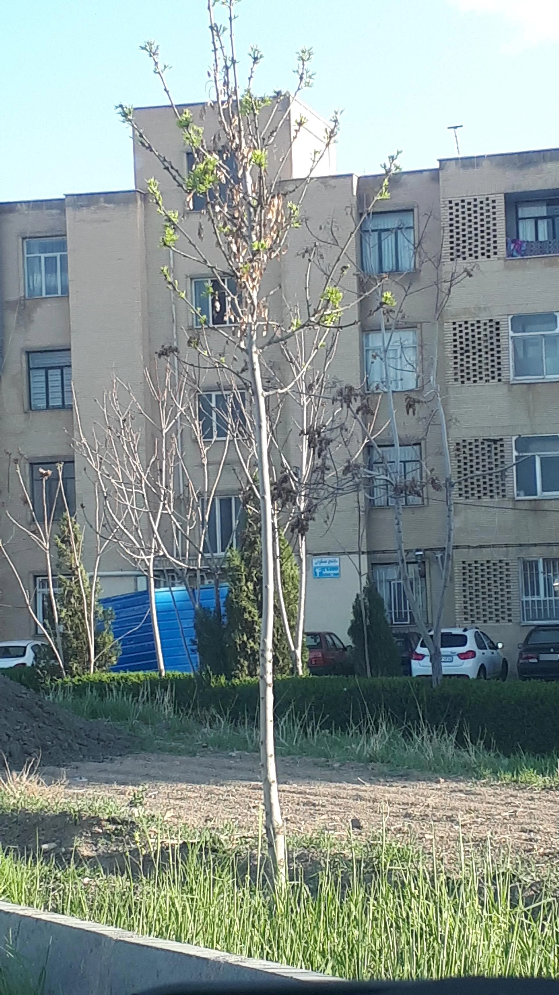 مجتمع مسکونی عترت - مشاور املاک و بنگاه در اراک