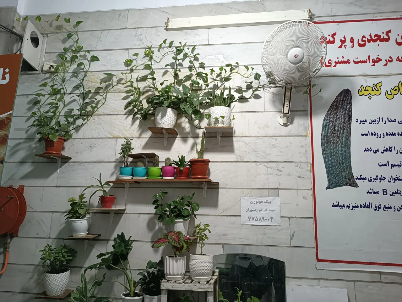 نان سنگک سنتی کهن - تصویر 2