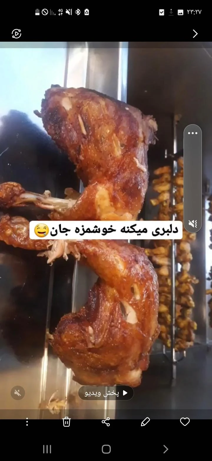 پاچینی ذغالی خوشطعم - کترینگ و تهیه غذا در اراک - تصویر 5