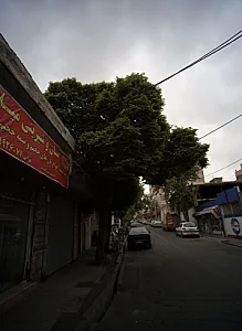 نان و شیرینی میلاد