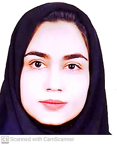 وکیل لیلی سلطانی