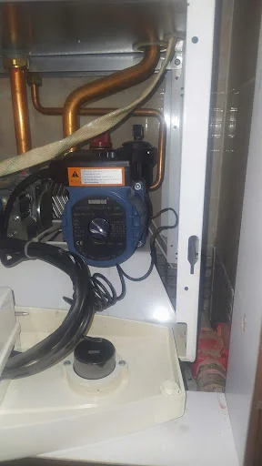 پکیچ معصومی