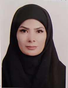وکیل اعظم سلاجقه تذرجی