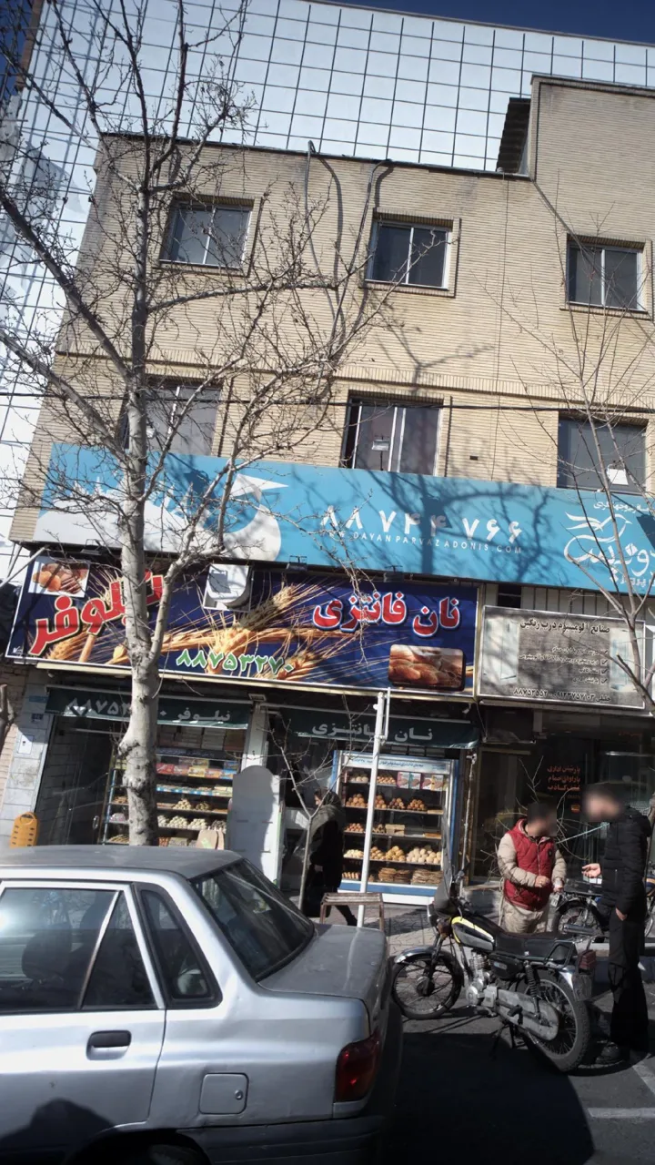 نان فانتزی نیلوفر