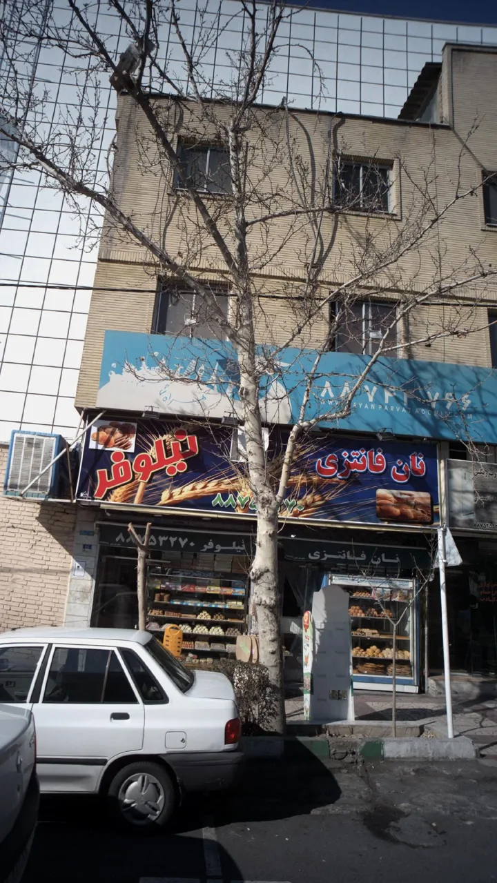 نان فانتزی نیلوفر - تصویر 2