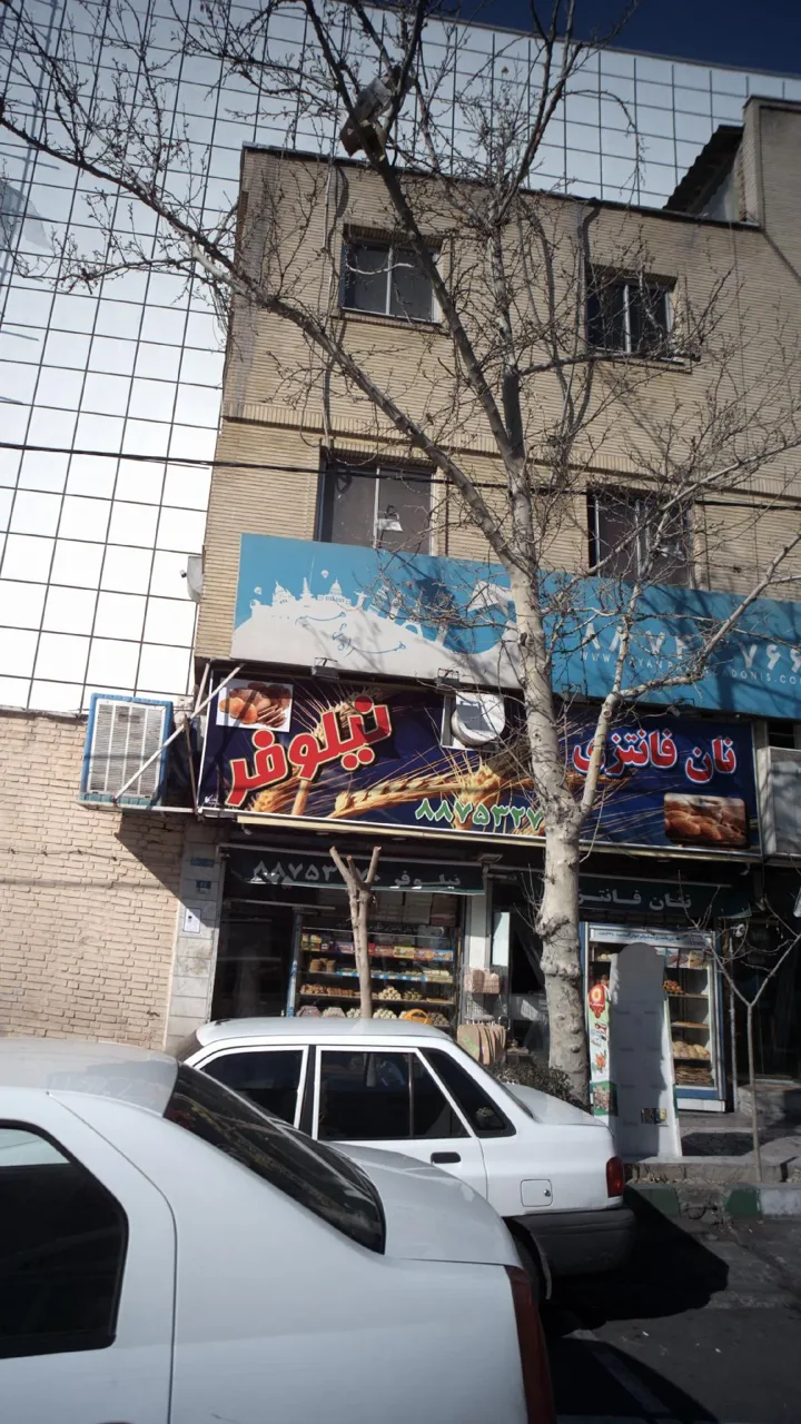 نان فانتزی نیلوفر - تصویر 5