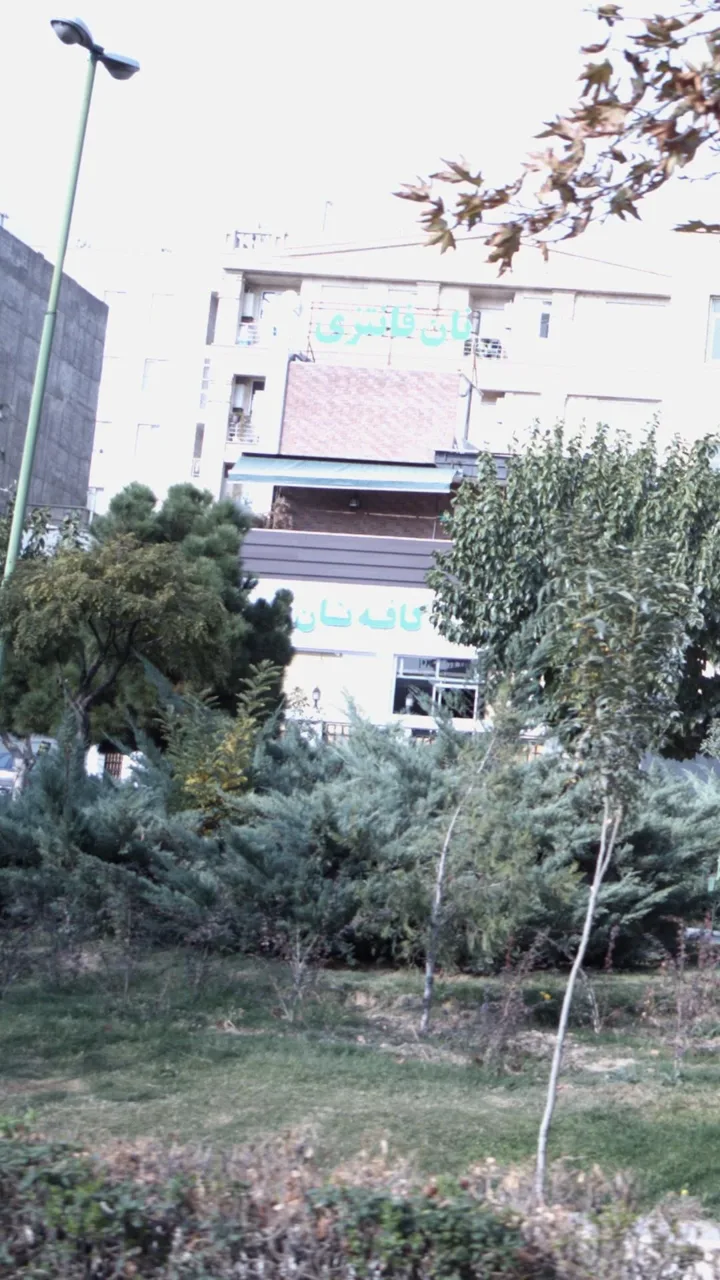 کافه نان سبز