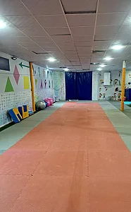 باشگاه تخصصی ورزش کودکان سانا