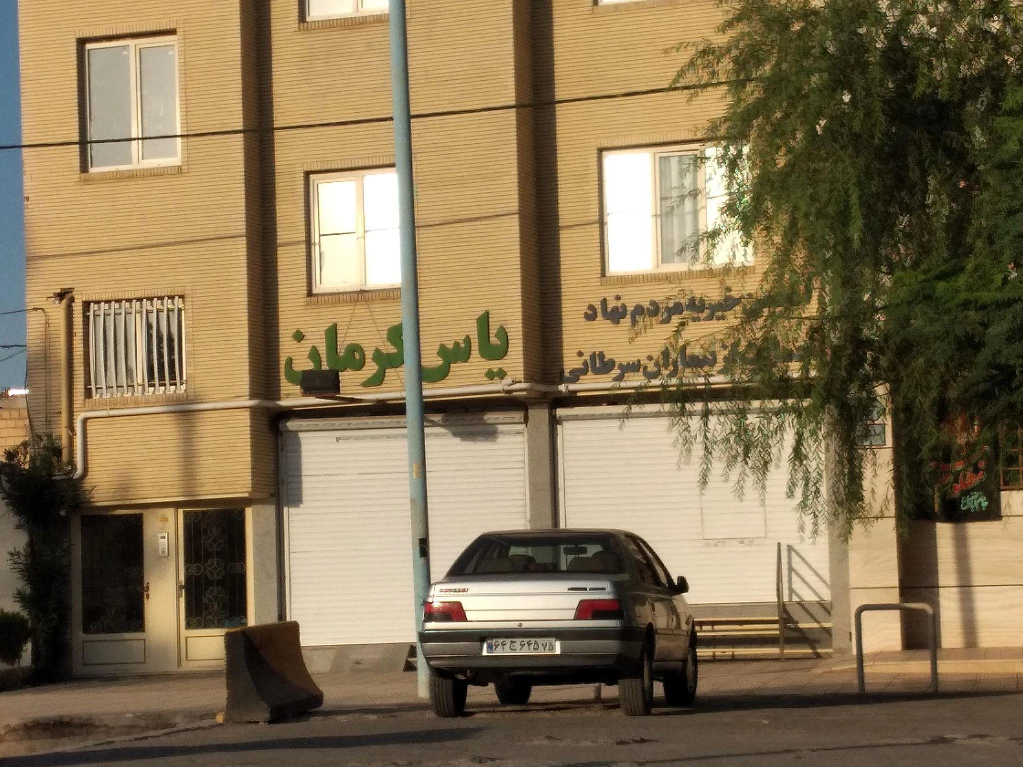 انجمن خیریه حمایت از بیماران مبتلا به سرطان یاس - موسسه خیریه در کرمان