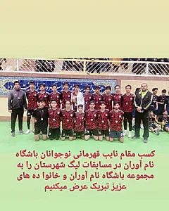 باشگاه فوتبال نام آوران
