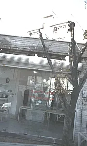 نانوایی لواش نوری