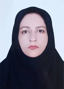 وکیل مهدیه السادات رزاززاده