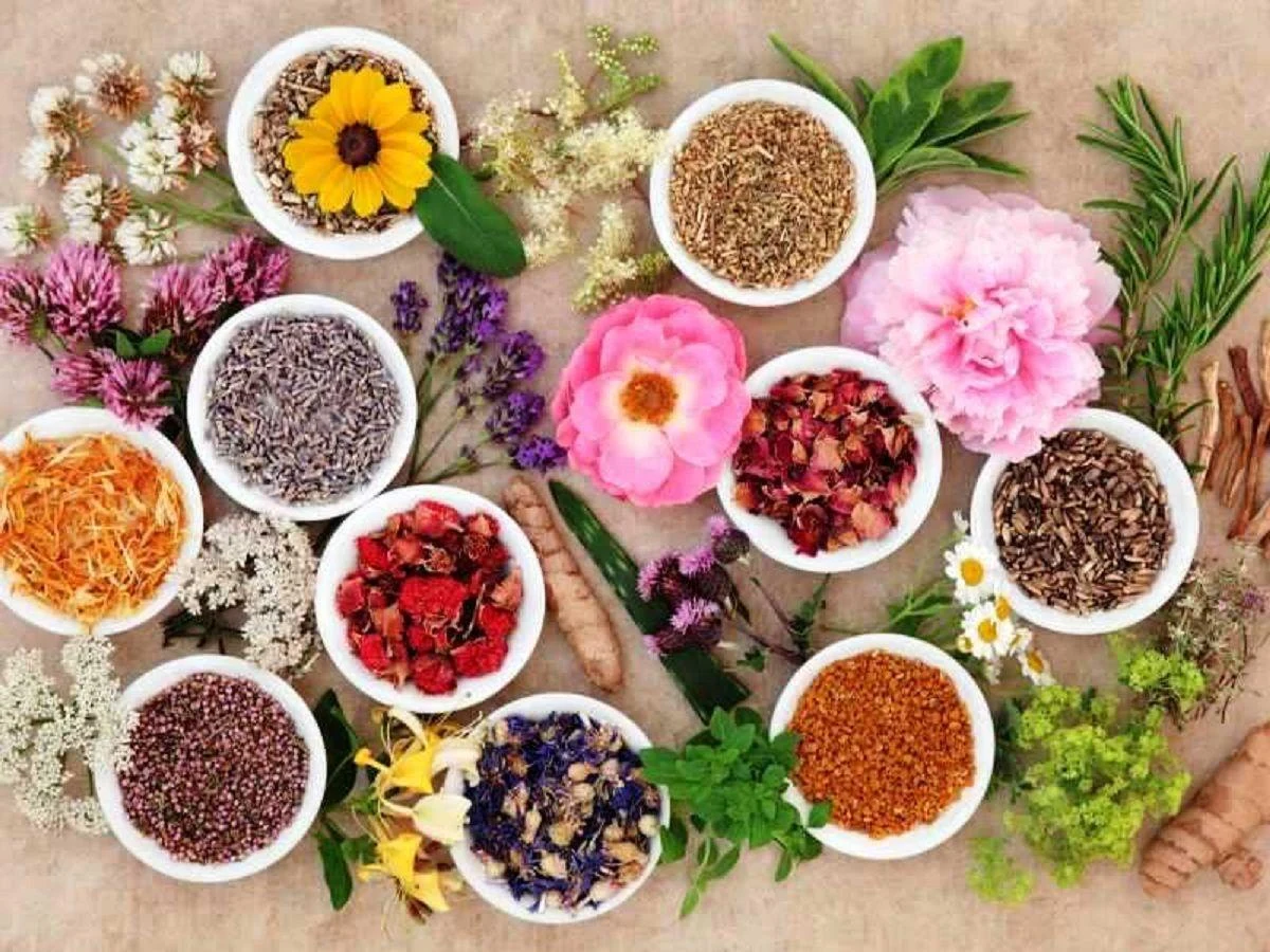 طب سنتی محمد حسنی - طب سنتی و عطاری در کرمان