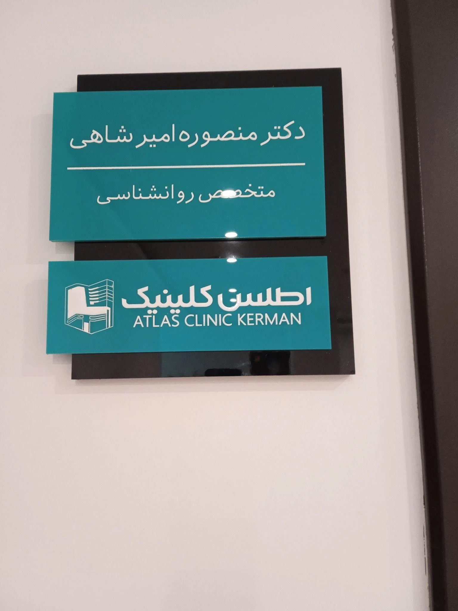منصوره امیرشاهی متخصص روانشناسی - تصویر 2