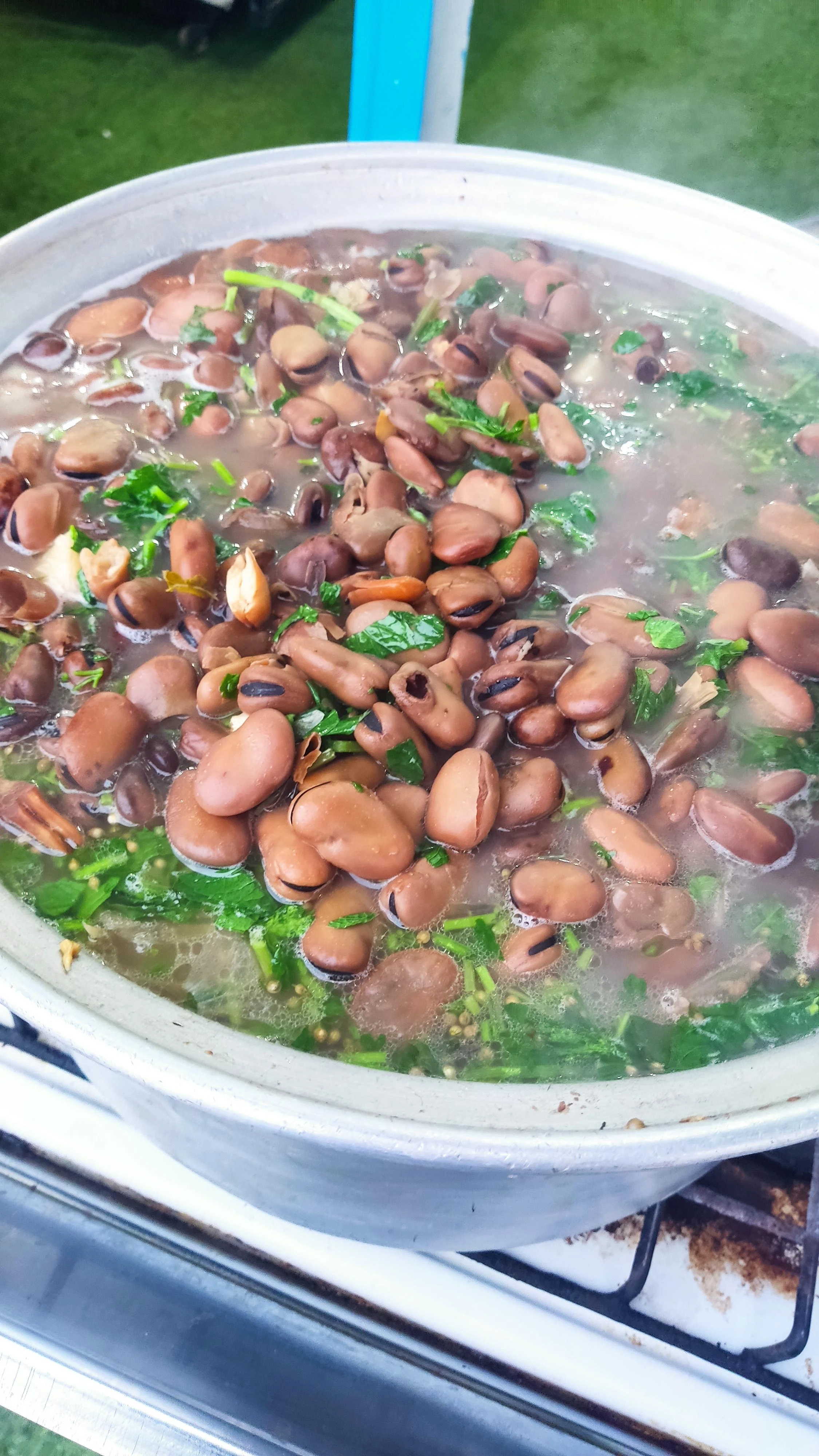 بستنی ژلینو شعبه شریعتی - آبمیوه و بستنی در کرمان - تصویر 3