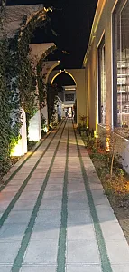 رستوران اسپاخو
