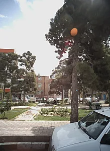 نان سنگکی